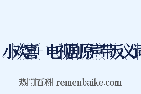 小欢喜+电视剧原声带反义词是什么意思的图片